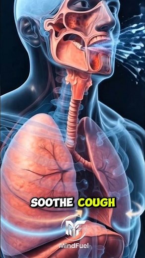 The #1 Powerful Herbal Remedy to Clear Mucus & Boost Immunity #healthfacts