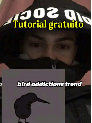 addictions bird video bird addictions trend addiction duck bağımlı kuş akımı fotoğrafları pajarito de la adiccion trend con addicting bird trend video the addiction bird addictions bird video song bird animation addictions the addictive bird full video the addictive bird animation the addictive bird tattoo addictionbird tattoo addictions bird edit the addictive bird tattoo meaning addictive duck thing mr duck addict addictions bird video addictions bird video song original addictions bird video