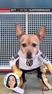 These dynamic doggos are the reason why we love sports today | TSN