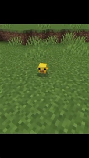 Um pinto forte #minecraft