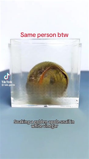 فيديو أنشأه A06 e-waste tech hype💫 (@note9hype67) باستخدام lab germ aqua regia