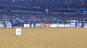 73K views · 3K reactions | With more than $5 million combined earnings of the 21 horses at the RFD-TV's The American Sarah Rose McDonald & Bling won it Way to go Fulton Performance Horses and the incredible breeding that they have brought to the barrel racing world. 1 Sarah Rose McDonald 14.470 14.47 Brunswick, GA 2 Lisa Lockhart 14.648 14.648 Oelrichs, SD 3 Jackie Ganter 14.851 14.851 Abilene, TX 4 Callie duPerier 19.312 19.312 Boerne, TX | Rodeo Life | Facebook