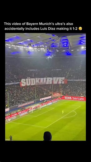 Ultras | Bayern Munich fans put on a huge Pyrotechnic show during their match against Hamburg 🧨😮‍💨 Recently, especially the issue of pyro has led... | Instagram