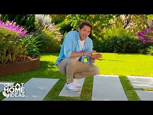 Designing The Perfect Colourful Front Garden | Great Home Ideas