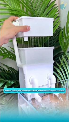 Install a 3-layer drip filter for maximum debris removal in your aquarium