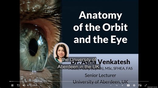 Anatomy of the orbit and the eye