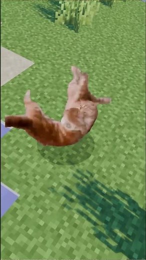 This Minecraft Cat Fight Got INTENSE #cat #catsoftiktok #minecraft