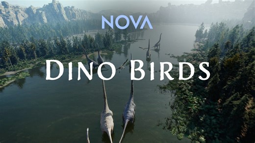 3.2K views · 34 reactions | Dinosaurs never really went extinct -...