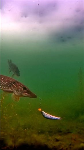Ice Fishing Double Trouble!