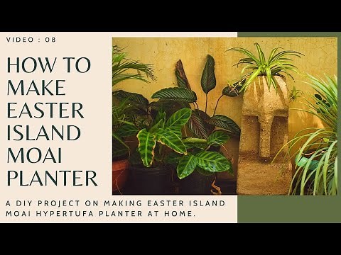 How to make easter island moai statue planters at home | DIY hypertufa moai | cement planter ideas