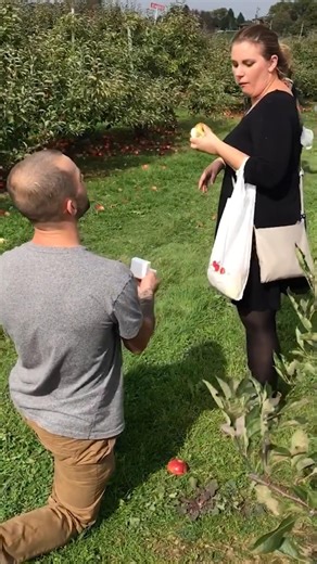 Top 5 Proporsal Disasters