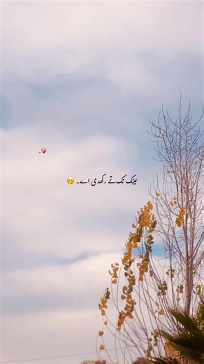 کیا خیال ہے؟ شاعری ہم سب کے لئے!