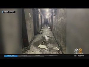 Bronx Resident Describes Escaping Deadly Fire