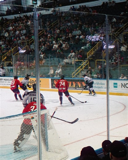 Florida Everblades on Reels