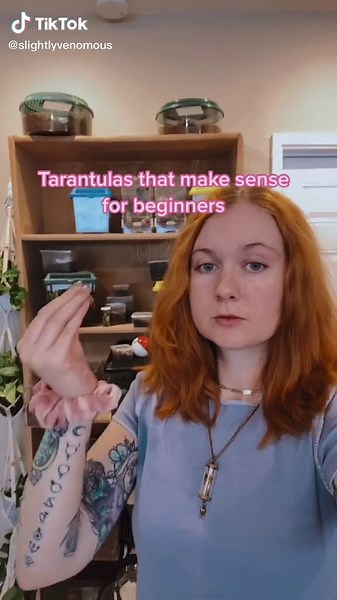 Tarantula Pet Care: Beginner's Guide to Owning a Pet Tarantula