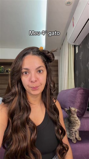 Gato é muito bom: Descubra como cuidar do seu felino
