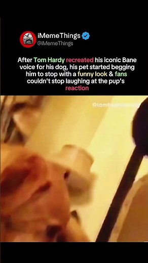 tom hardy recreates iconic bane voice for his dog and the reaction is gold #tomhardy