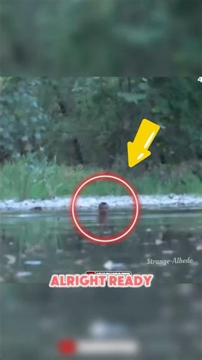 Wildest Stream Snipper Ever 💀😳