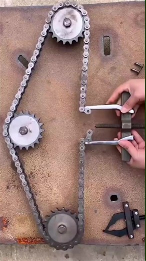 Viral Video Compilation