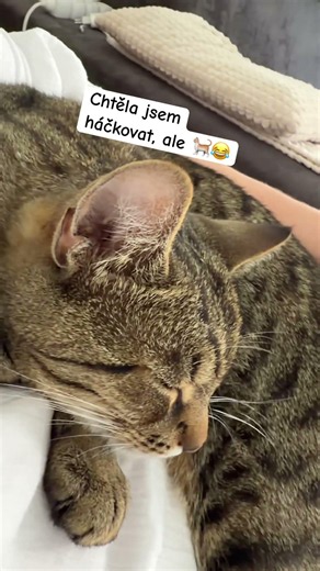 Místo háčku klubíčko kočky 😂🐾