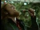 Blood Sweat & Tears - So long dixie