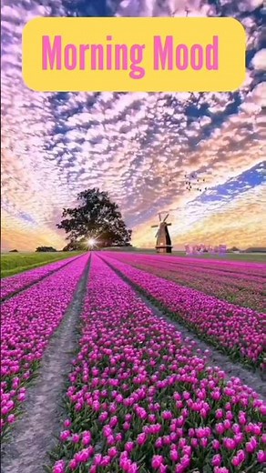 Edvard Grieg: Morning Mood