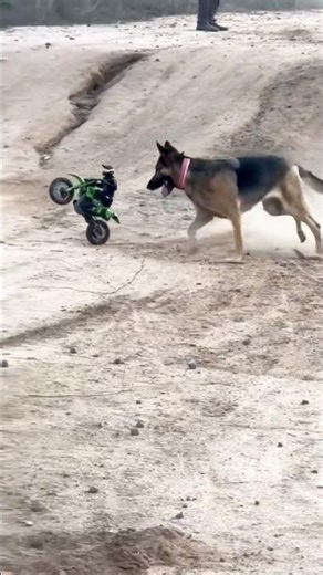 Technology #technology #technology