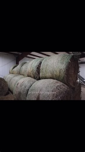 A local story worth telling. 🌱 Prairie Band Ag is excited to have our commercial air locally and shine a light on sustainable agriculture, community leadership, and the impact we’re proud to grow every day. Here’s a link to check it out for yourself: https://vimeo.com/1134363254?share=copy #PrairieBandAg #PrairieBandPotawatomiNation #SustainableAgriculture #GrownWithPurpose #LocalPride #CommunityDriven #HempInnovation #NativeOwnedBusiness #SupportLocal #RegenerativeAg #AgInnovation #KansasHemp 