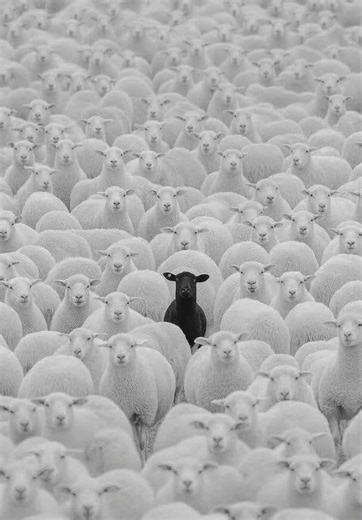 #volleyball #explosive #agression #athlete #therapy