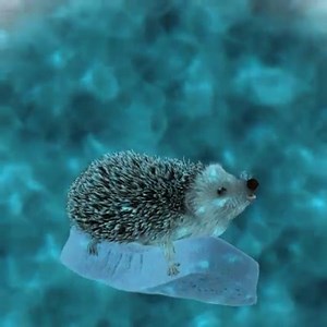 Old but gold! Our Handy Sponge and Thick Moppets have been on the shelves for two decades now and are still long lasting, biodegradable and super absorbent! ❤️ | Spontex UK