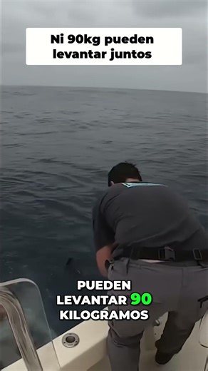 ¡Impresionante! ¿Podrán levantar 90 kg en este viaje? #shorts