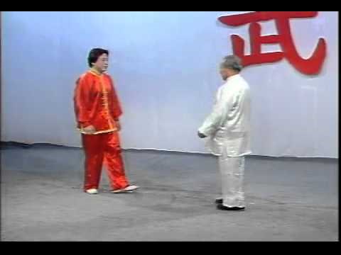 Xing Yi Quan Applications