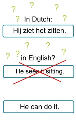 Funny Dutch (B2) he sees it sitting #dutchlanguage #learndutch