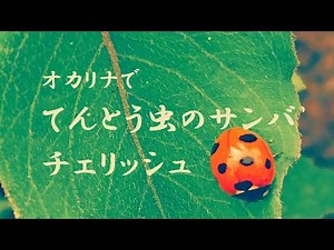 オカリナで「てんとう虫のサンバ」（歌詞付き）チェリッシュ
