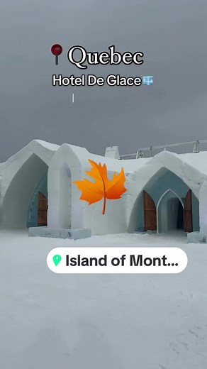 #محارب_صحراء