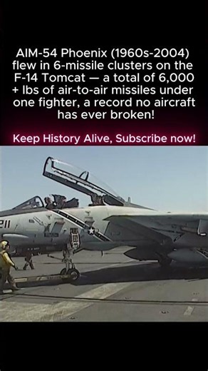 This F-14 Looked FAKE But Actually FLEW — 6 Phoenix Missiles #shorts