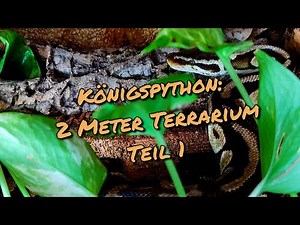 Königspython: 2 Meter Terrarium Teil 1