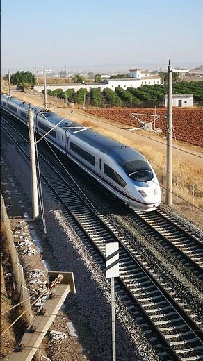 Alta velocidad y cercanías: paso del Serie 103 y un Civia a las afueras de Sevilla