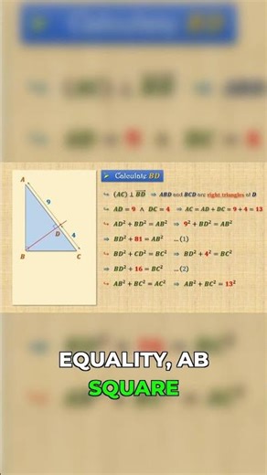Pythagorean Theorem Finally Makes Sense #maths #geometry #tutorial