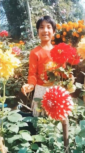 Tere Liye Hi Mar Java🥰😍#shortvideo#viralvideo#youtubeshorts