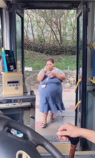 Bus Ride Adventures: A Glimpse Inside Public Transport