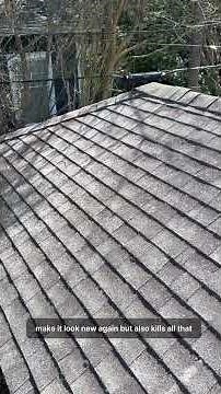 Moss on Asphalt Shingles