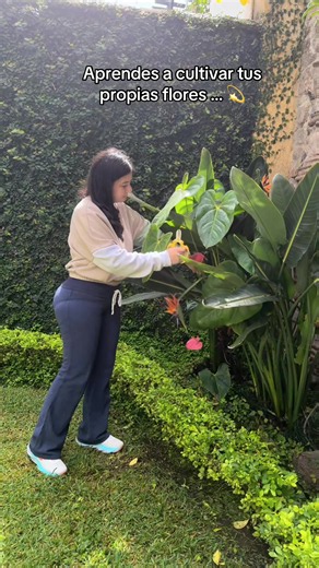💕 así es como con e tiempo aprendes a cultivar tus propias flores en todo los sentidos de tu vida. 💫