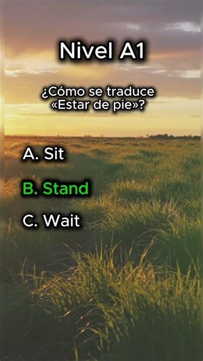 Nivel A1 — Día 12