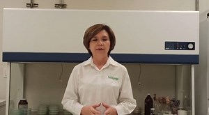 1.9K views · 82 reactions | Manejo de enfermedades en los cultivos como alfalfa , melón, sandía , chile  y tomate en la #ComarcaLagunera | INIFAP | Facebook