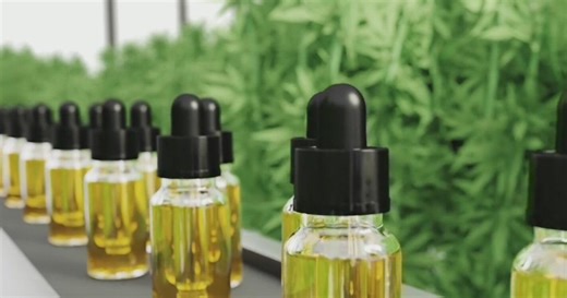 Trump reclassifies marijuana as a Schedule III drug