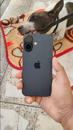 iPhone 16 Portrait Mode Photo