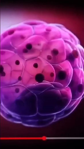 🤷Fertilisation - embryonic development - parturition 🩺💊🧑‍⚕️3D animation #biology #physicswallah
