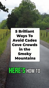 22K views · 256 reactions | ️ 5 Brilliant Ways To Avoid Cades Cove Crowds in the Smoky Mountains  #smokymountains #gsmnp #cadescove #travel #bestvacation #traffic #mountains #crowds | TheSmokies.com | Facebook