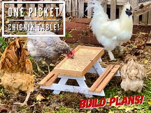 One Picket Chicnik Table Plans, Digital Plans, Chicken Table, Chicken Picnic Table, Plans, DIY, Build Plans, Chicken Picnic Table, Wood - Etsy